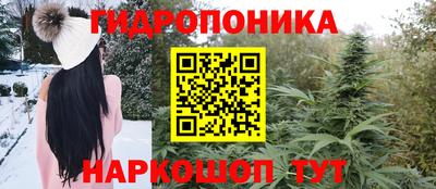 шишки Пыть-Ях