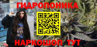 шишки Пыть-Ях
